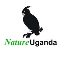 NatureUganda(@NatureUganda_) 's Twitter Profile Photo