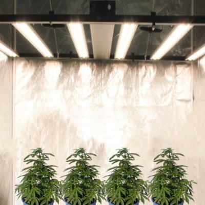 Ledgrowlight supplier