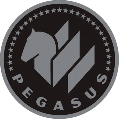 PEGASUS EXPLAINERさんのプロフィール画像