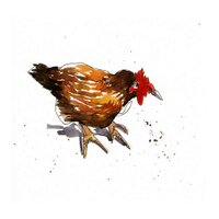 caroline paul (@carowriter) 's Twitter Profile