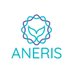 ANERIS (@ANERISproject) Twitter profile photo