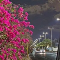 ًُ (@x_ll56) Twitter profile photo