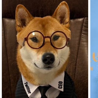 cryptoclothin14's profile picture. Im preparing something special for myself.
🟩 Contributor