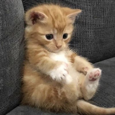 NqOofl's profile picture. スロット兼業、メンエス情報、美味しいご飯を発信します。麻雀、パチスロ、寿司、焼肉、ラーメン、メンエス、寝取られ好き。彼女寝取られたい。人生上手くいかないのは他でも無い自分の責任！マダオさんを勝手にリスペクト