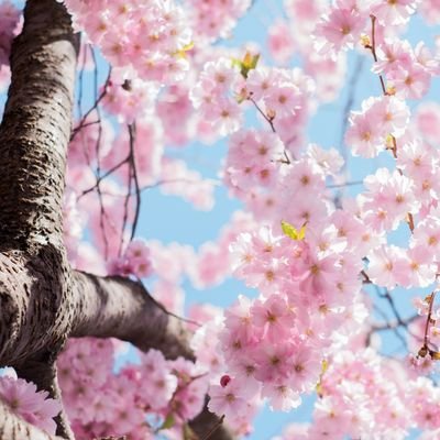 xknmg's profile picture. 有人生来属于黑暗，有人生来带来光明