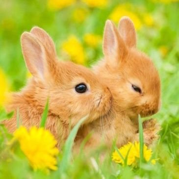 milkchoco21's profile picture. 