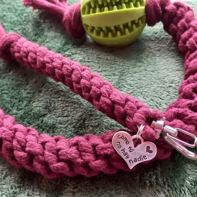 LuciaMontes6's profile picture. 🐶Educadora, dogsitter
👩‍🎓Física (Geofísica) UCM- Sismología, geomagnetismo, vulcanología
🔬Asociación 🇪🇸 de comunicación científica
💻Analista programadora