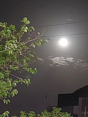 hadis85037507's profile picture. 🦋أینَ المُضطَرُّ الّذِی یُجَابُ إذا دعی🦋