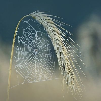 Selamun aleykum arkadslar ben meftun