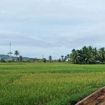 Seorang yangbsenang berkarier di pemberdayaan masyarakat