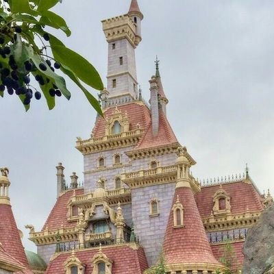 主に取引垢 成人済み。よろしければ交換後も本垢など提示可能なので仲良くしてください。素敵な出会いがありますように。