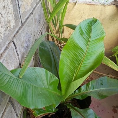 jgithinji7963's profile picture. Accountant
Likes Travelling and Music