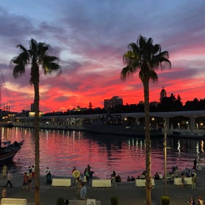 aninver's profile picture. #International #Development & #strategy consultancy working for #DFIs / #MDBs /public and private clients globally