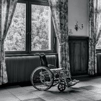 Disability Inclusion (@stevewillis235) 's Twitter Profile