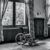 Disability Inclusion (@stevewillis235) Twitter profile photo Disability Inclusion (@stevewillis235) Twitter profile photo