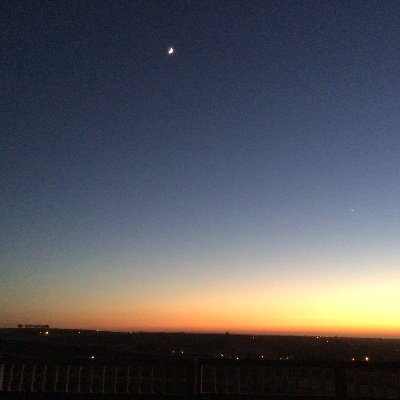 NNfox750's profile picture. The Day Will Come☘️!
Only Us Gonna Save Us.