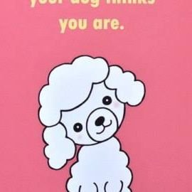 Welcome to the #poodleLovers Community! Follow us for Daily sharing #poodle happiness! This page is dedicated for all #poodle Owners & Lovers!!