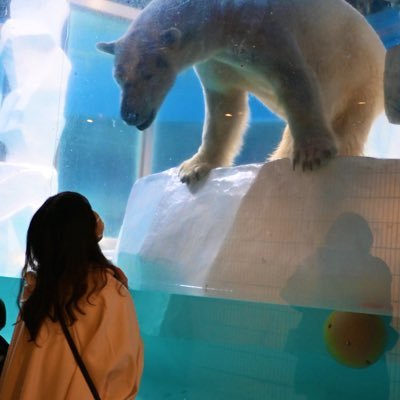 闘病垢 ¦ 精神科 ¦ 境界性パーソナリティ障害 ¦ 双極性障害 ¦ 摂食障害 ¦ パニック障害 ¦ 起立性調節障害 ¦ ASD ¦ ADHD ¦ 聴覚情報処理障害¦PTSD¦ゆっくりのんびり治療中☁🫧