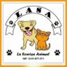 LASAnimal's profile picture. DONACIONES: CaixaBank  IBAN ES54 2100 2602 0601 1072  6049

Paypal: adopcion.lasanimal@gmail.com   Bizum: 04934

https://t.co/PNrcvYMn7j