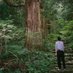 冬山登山(弾き語り) (@tozanfuyuyama) Twitter profile photo 冬山登山(弾き語り) (@tozanfuyuyama) Twitter profile photo