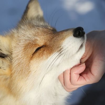 zsbzさんのプロフィール画像