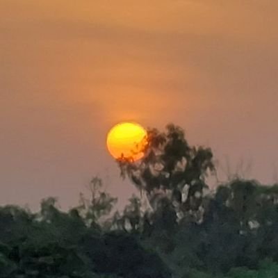 sidhart40002340's profile picture. Bitbns #trading open karo
#Gaurav kutta or chor

profile pe @Gaurav dhakte ke pic hain jo scamer hain youtube ka fav

@Gaurav ne sab ko maal khilya hain to ab