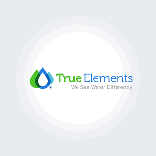 True Elements Insights Profile