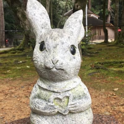 21.1稽留流産①(心拍前)▶︎掻爬 /21.10稽留流産②(母子手帳取得後)▶︎掻爬/22.3双子稽留流産③(心拍後)▶︎吸引/22.8進行流産④(心拍後)▶︎吸引/22.11子宮外妊娠▶︎完全流産/不育症/流産からの🧚♂️さん見て勇気もらってます٩( ᐛ )و/幸せツイート見たい派/別垢@bucham029