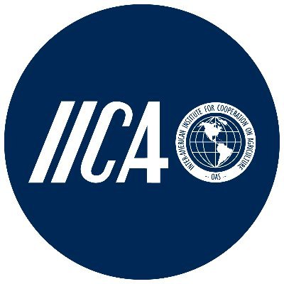 IICAnews Profile Picture