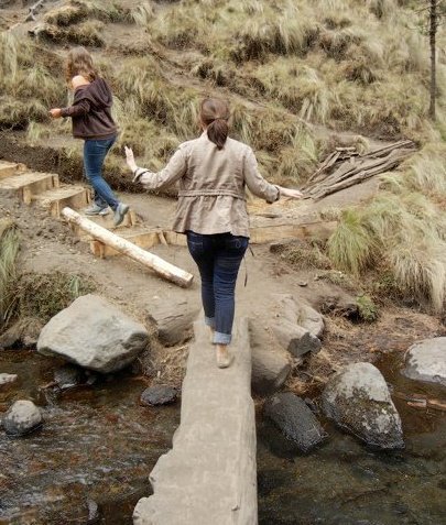 HiKnee_4309's profile picture. 