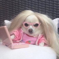 16bitByeBye (@16bitdec) 's Twitter Profile