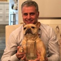 Dr.Mark Davis (@markdav32807320) 's Twitter Profile