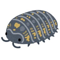 ダンゴムシ (@dangogogomushi) 's Twitter Profile Photo