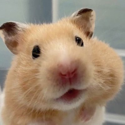 재수생이애용