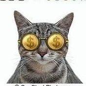 Gato Cryptoα΅α΅αΆππΌπ§π·π¨βπ©βπ¦π (@cryptogato) 's Twitter Profile