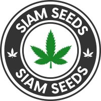 Siam Seeds(@SiamSeeds) 's Twitter Profile Photo