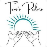 Toms Palms(@TomsPalms) 's Twitter Profile Photo