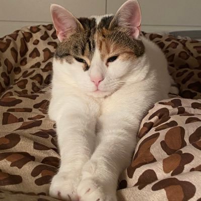 J9Drasr's profile picture. 