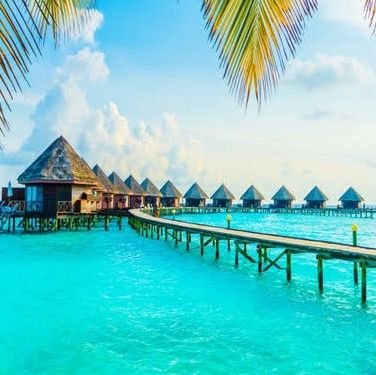 Conta65463945's profile picture. 