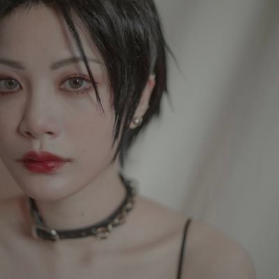 meowstarsさんのプロフィール画像