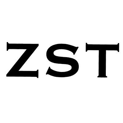 ZST.nft/designさんのプロフィール画像