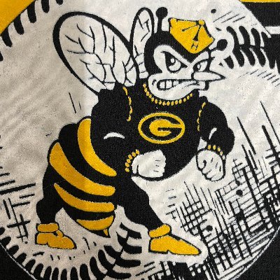 GHornetBaseball Profile Picture