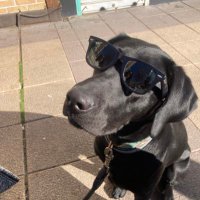 Kikex (@_kikefuentes) 's Twitter Profile