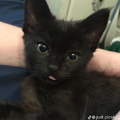 slanishot's profile picture. hi
20