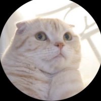 モニカさん🍋🐰🐈🐶 (@monicasan45) 's Twitter Profile