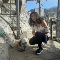 Sandra Lopez (@_lopezgarces) 's Twitter Profile