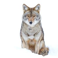 Cassandra PS (@cassandra_ps) 's Twitter Profile Photo