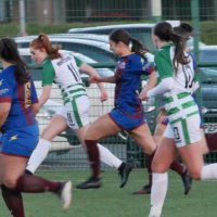 Ellie Bidhendy (@ellie78281350) 's Twitter Profile