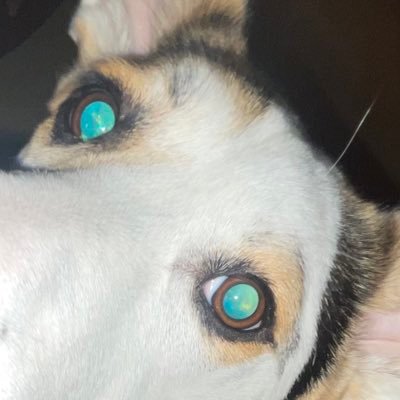 Ringwyrm1's profile picture. newschool rpg blog / lord help me and my brother help us get through this tookover land