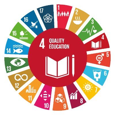 NGO Committee on Education, Learning and Literacy (NGO CELL) advocates for inclusive and equitable quality education for all. 
#NGOCELL #SDG4 #Education2030